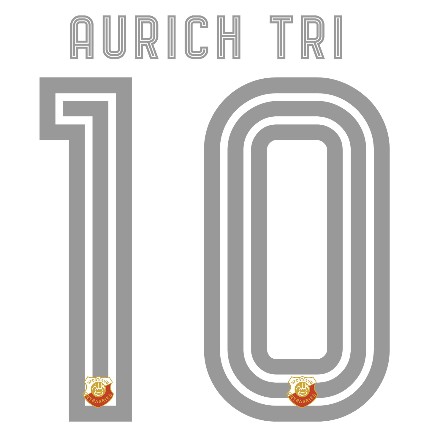 Nummernsatz "Aurach-tri" + Teamlogo druck-guru