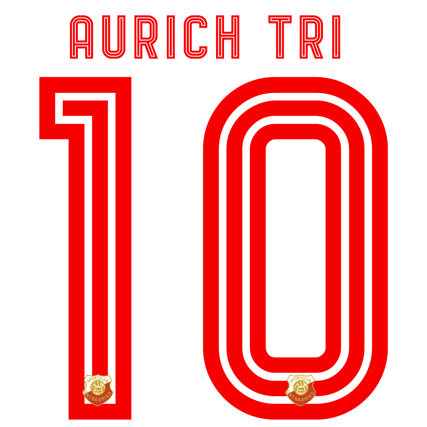 Nummernsatz "Aurach-tri" + Teamlogo druck-guru