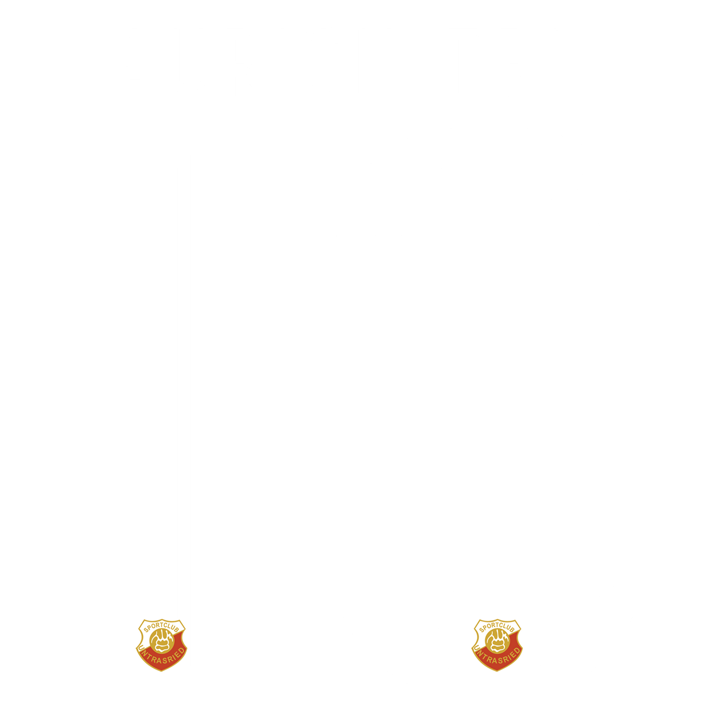 Nummernsatz "Aurach-tri" + Teamlogo druck-guru