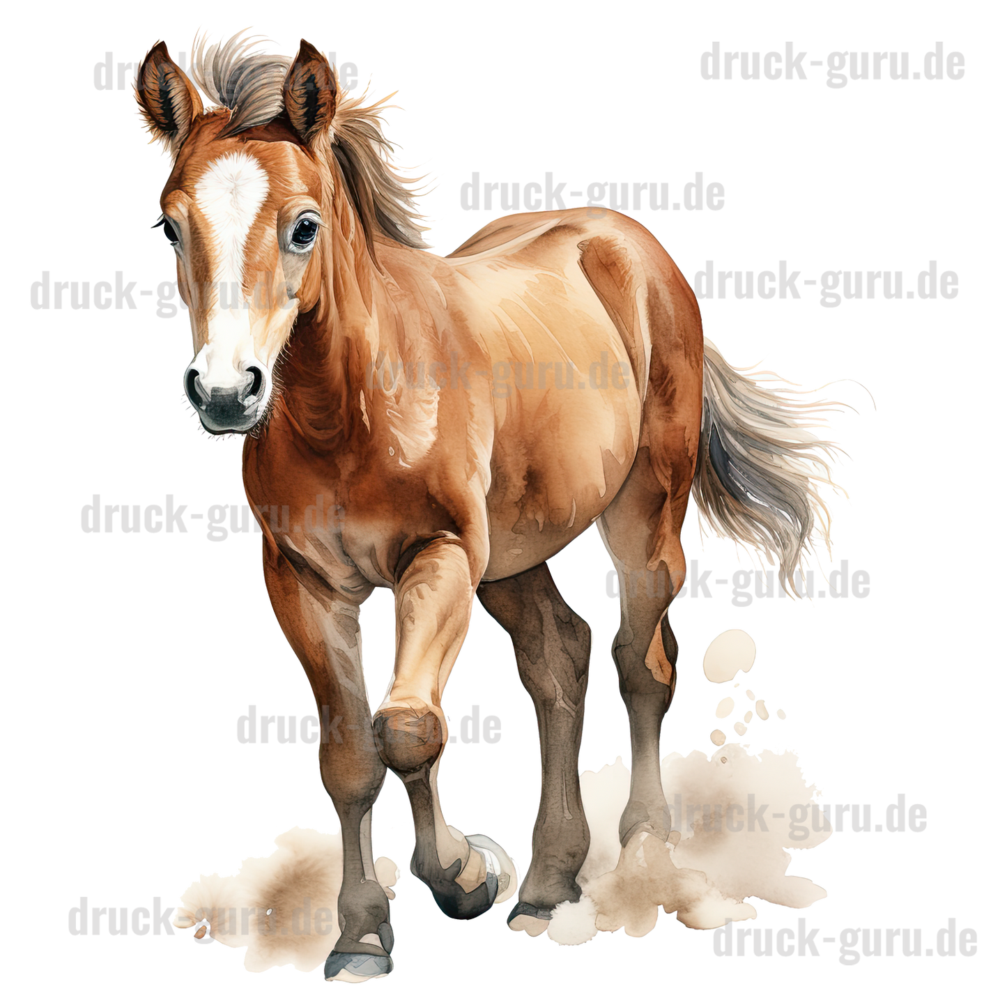 Bügelbild "Pony Peggy" druck-guru