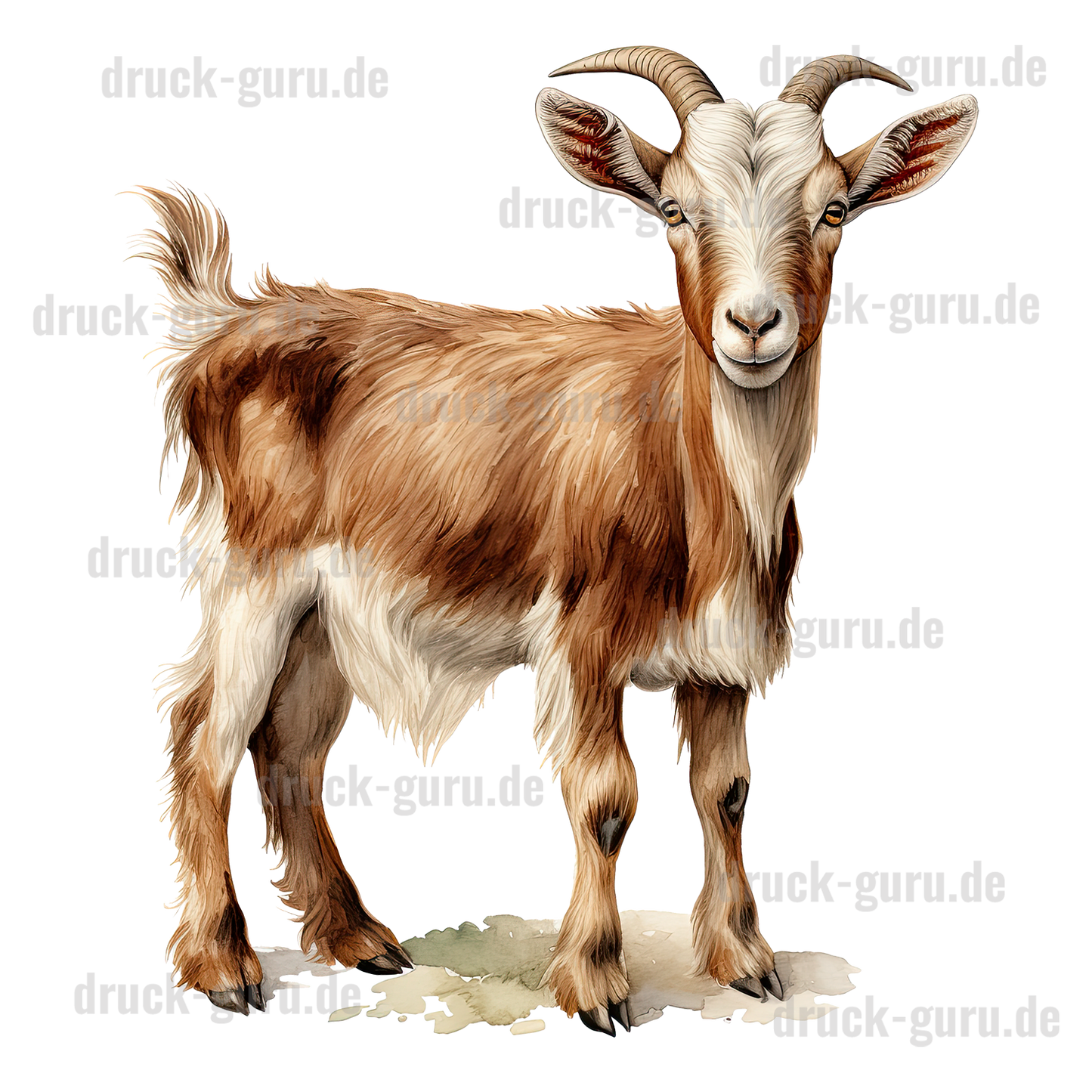 Bügelbild "Geißbock Gerd" druck-guru