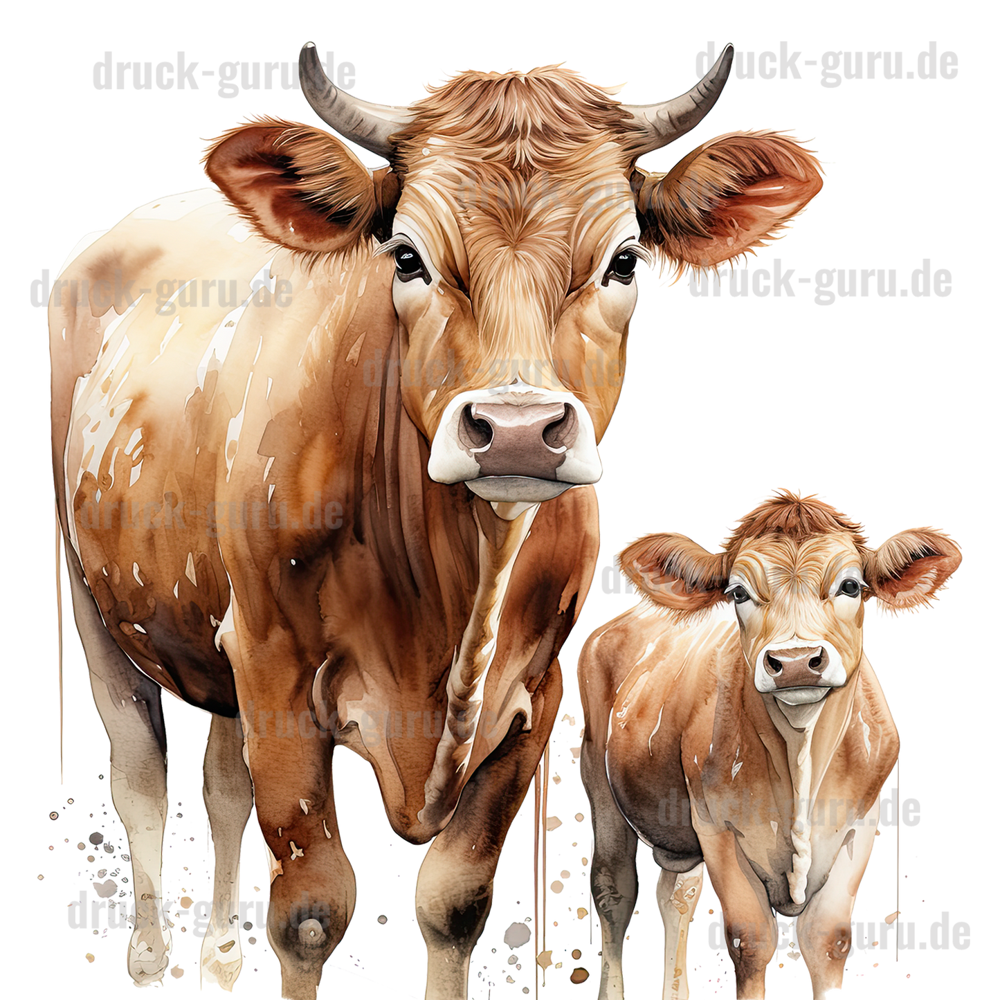 Bügelbild "Kühe Lotta & Sina" druck-guru