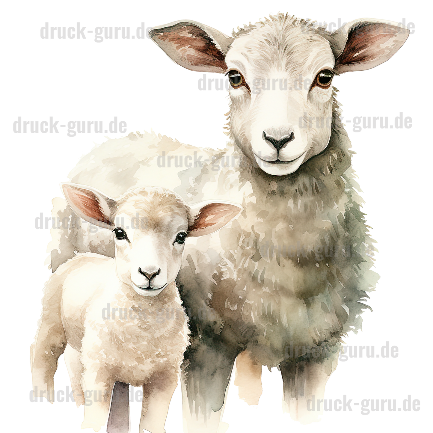 Bügelbild "Lamm Lara & Sahra" druck-guru