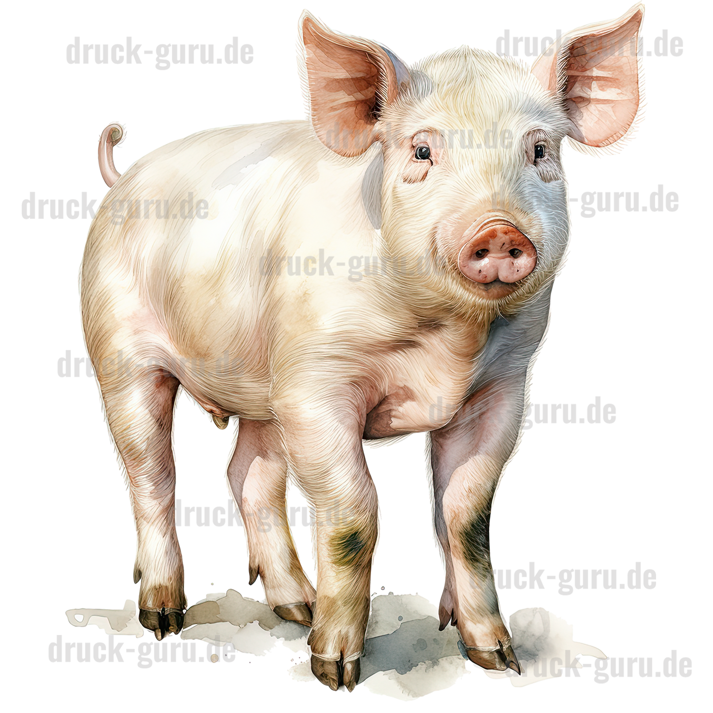 Bügelbild "Pig Luise" druck-guru