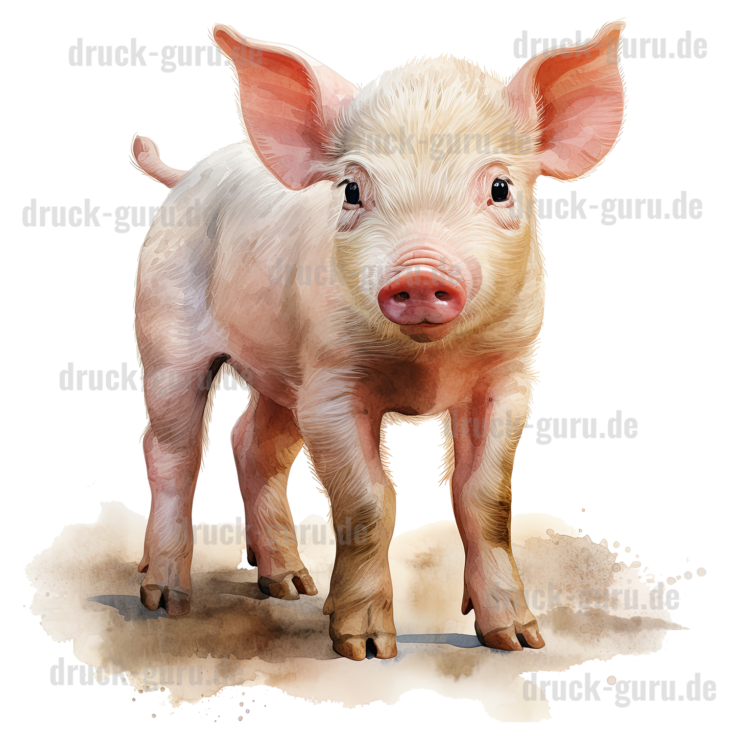 Bügelbild "Pig Tanja" druck-guru