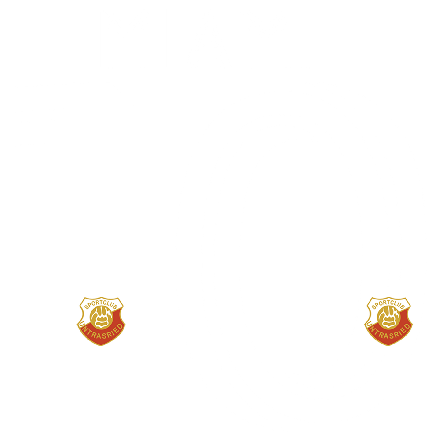 Nummernsatz "Miami" + Teamlogo druck-guru