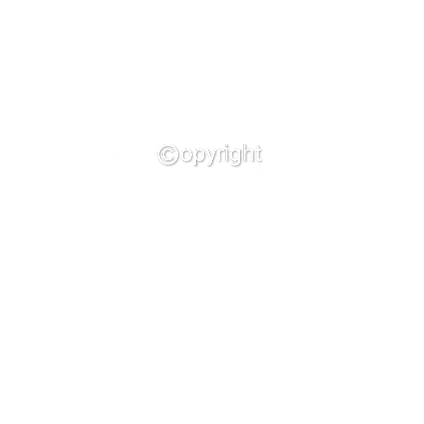 DTF Transfer EM 2024 "Team Germany" druck-guru