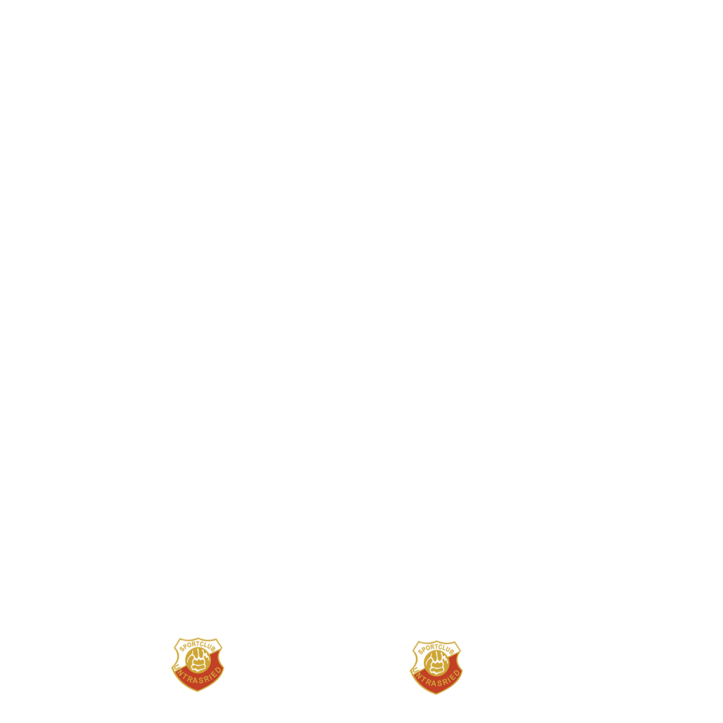 Nummernsatz "Trikotfont Semi" + Teamlogo druck-guru