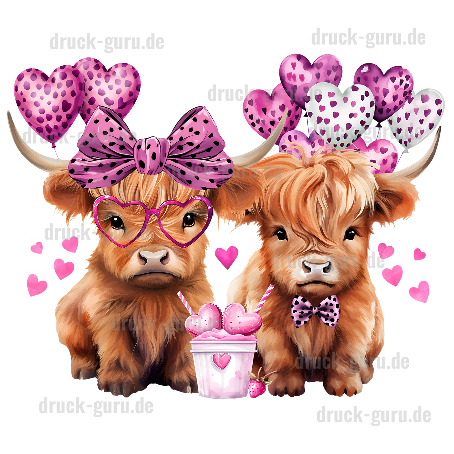 Bügelbild "Emil und Emilie" druck-guru