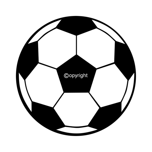 DTF Transfer EM 2024 "Ball" druck-guru