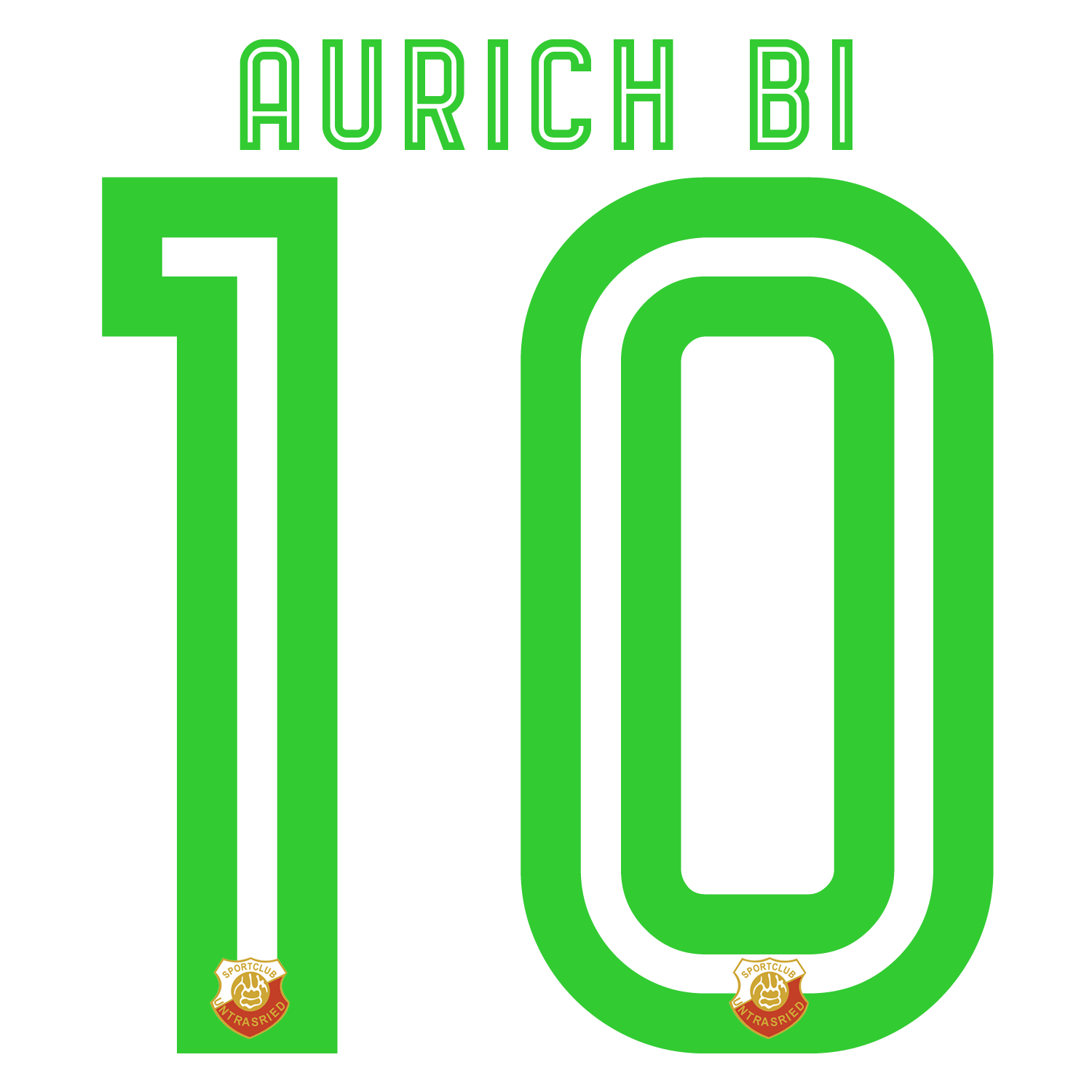 Nummernsatz "Aurach-Bi" + Teamlogo druck-guru