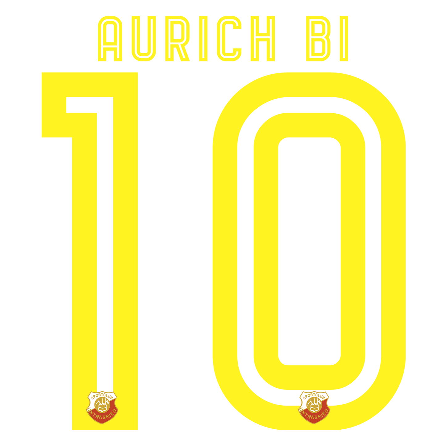 Nummernsatz "Aurach-Bi" + Teamlogo druck-guru