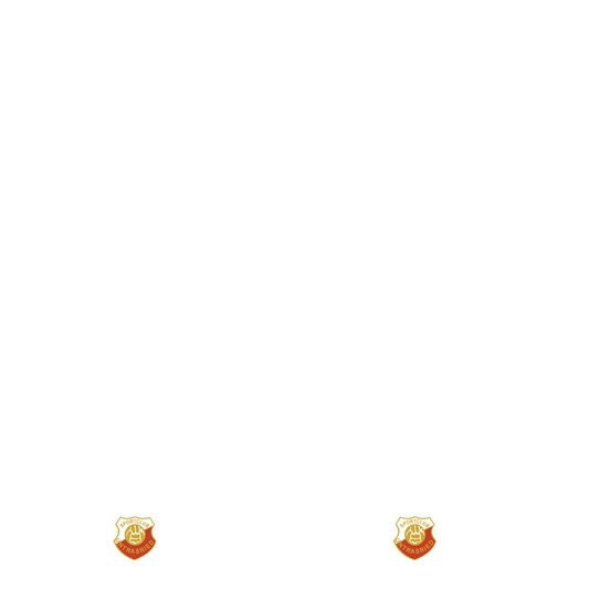 Nummernsatz "Aurach-Heavy" + Teamlogo druck-guru