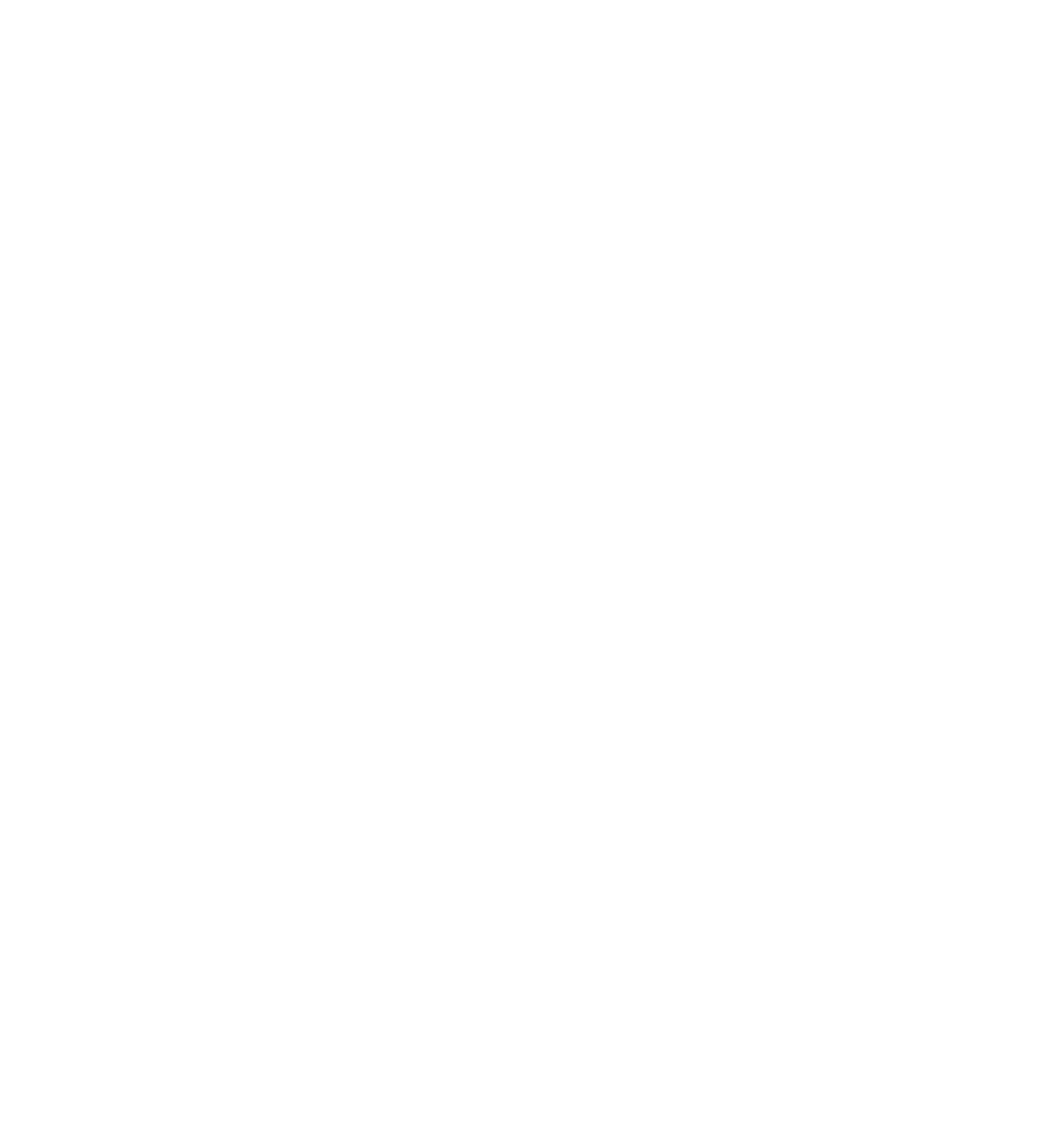 Bügelbild "Camping Evolution" druck-guru