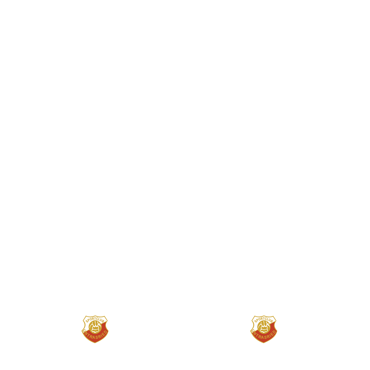 Kopie von Nummernsatz "Germany" + Teamlogo druck-guru