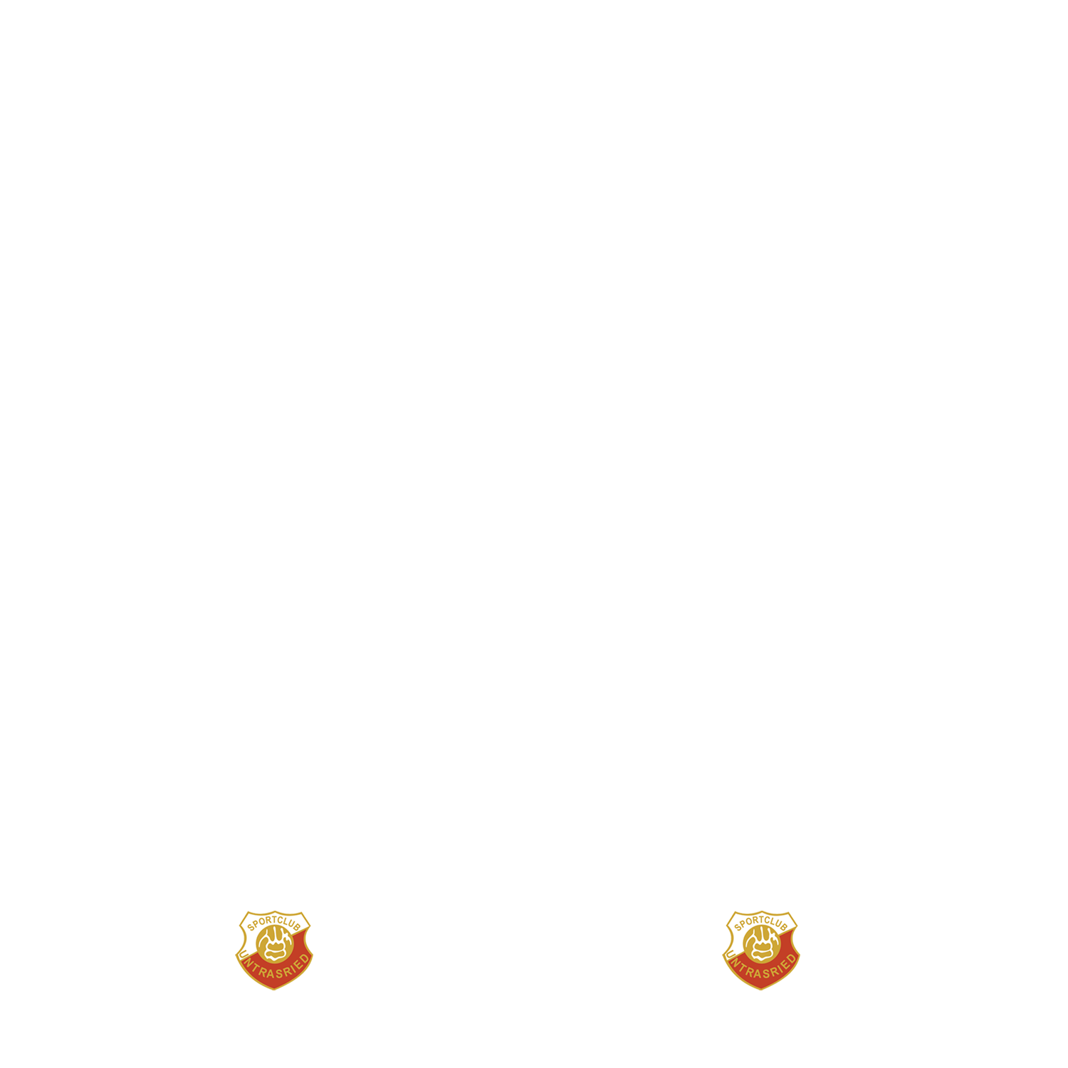 Kopie von Nummernsatz "Germany" + Teamlogo druck-guru