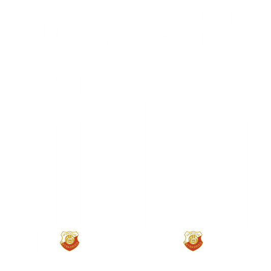 Kopie von Nummernsatz "Germany" + Teamlogo druck-guru