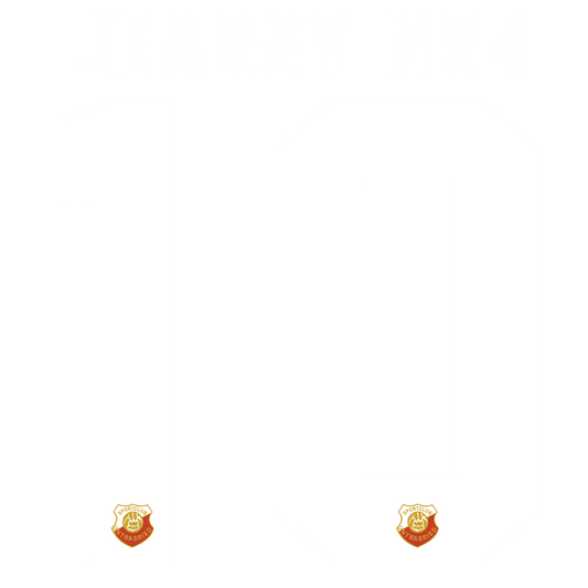 Nummernsatz "Jersey M54" + Teamlogo druck-guru