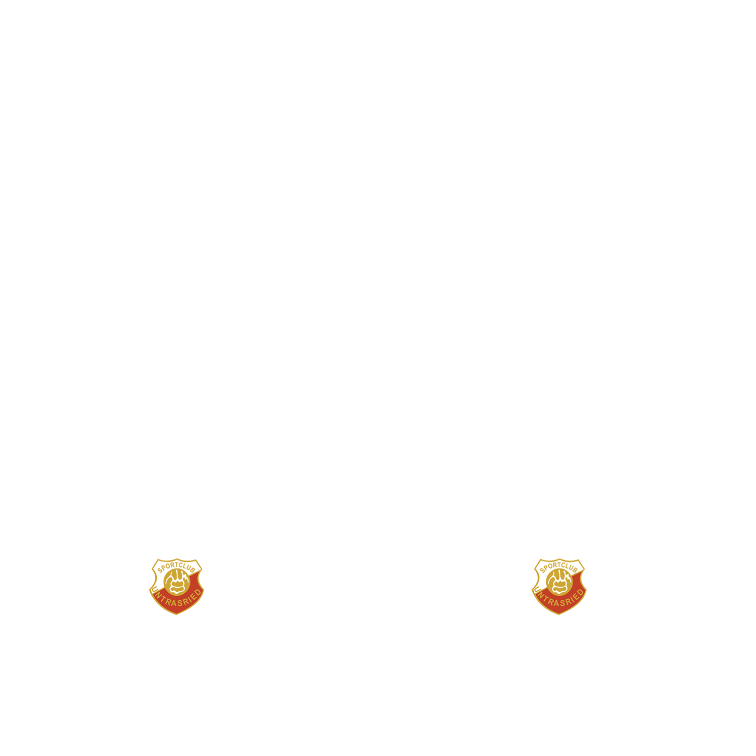 Nummernsatz "Nike Logo Font" + Teamlogo druck-guru