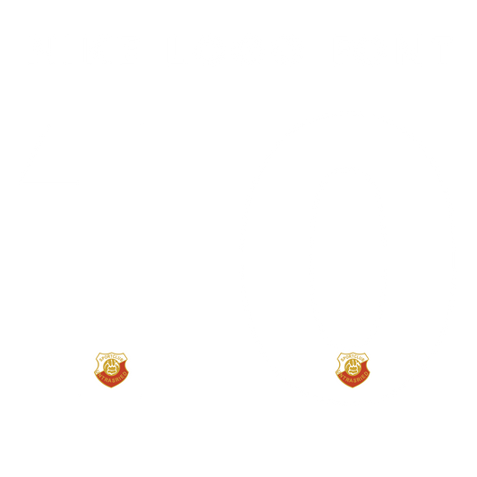 Nummernsatz "Nike Logo Font" + Teamlogo druck-guru