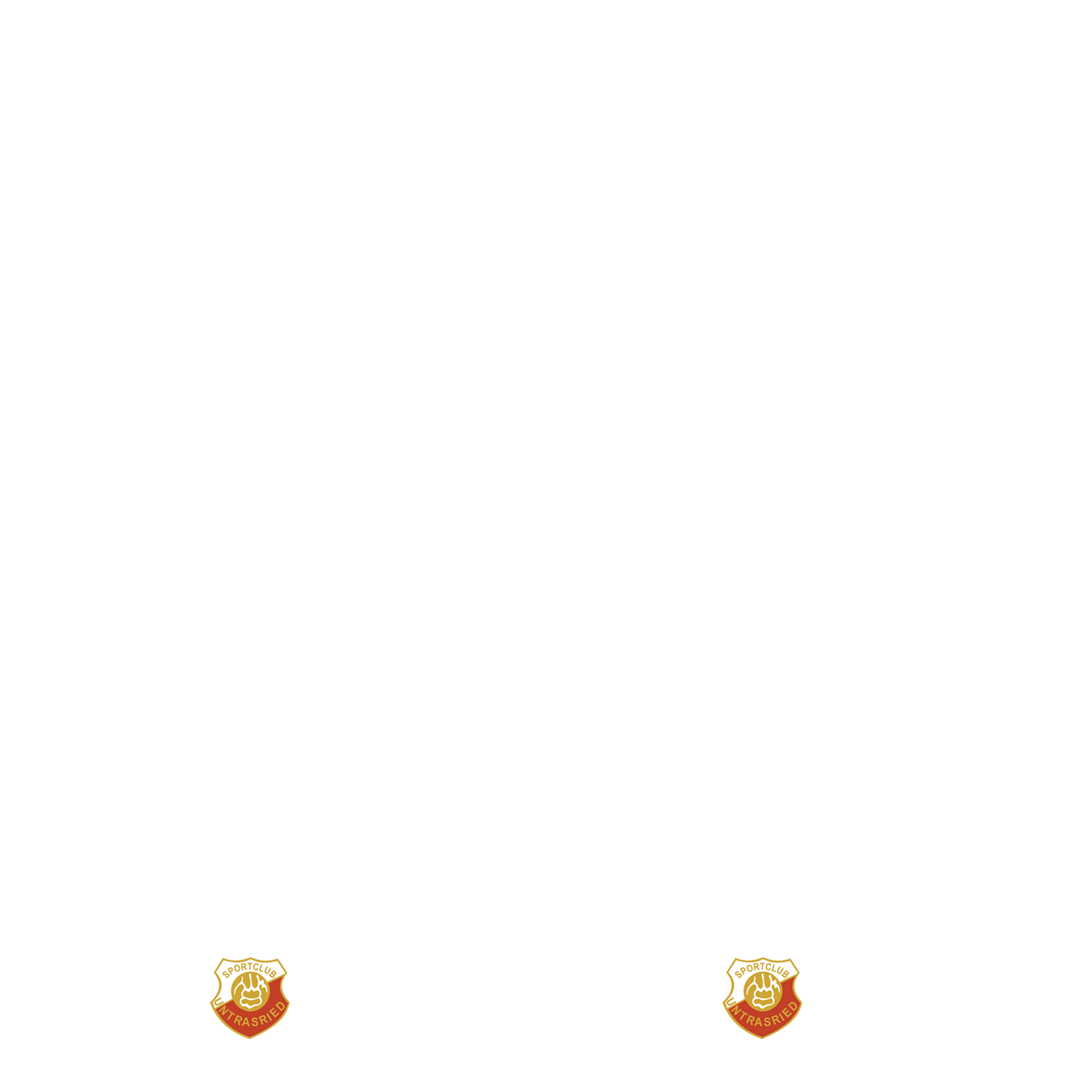 Nummernsatz "Nike Total 90" + Teamlogo druck-guru