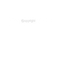 DTF Transfer EM 2024 "Team Germany" druck-guru