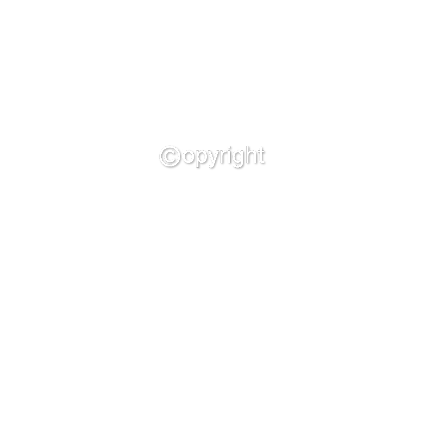 DTF Transfer EM 2024 "Team Germany" druck-guru