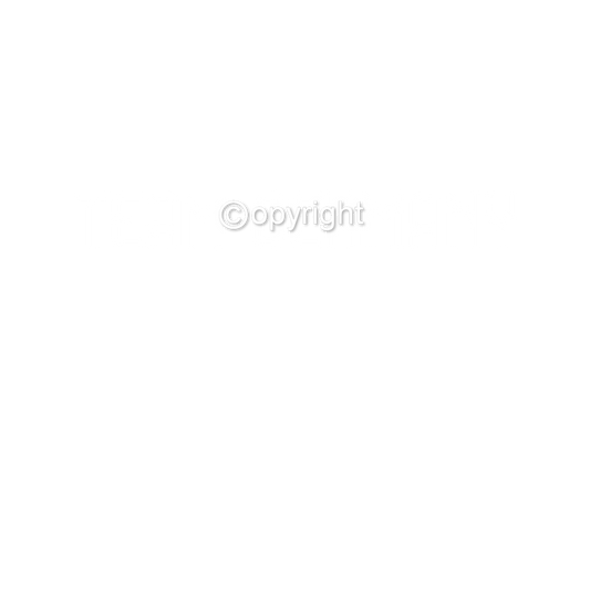 DTF Transfer EM 2024 "Team Germany" druck-guru