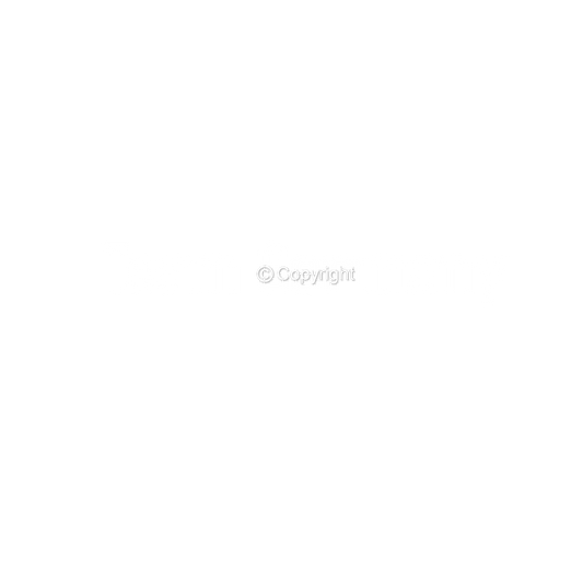 DTF Transfer EM 2024 "TEAM GERMANY" druck-guru
